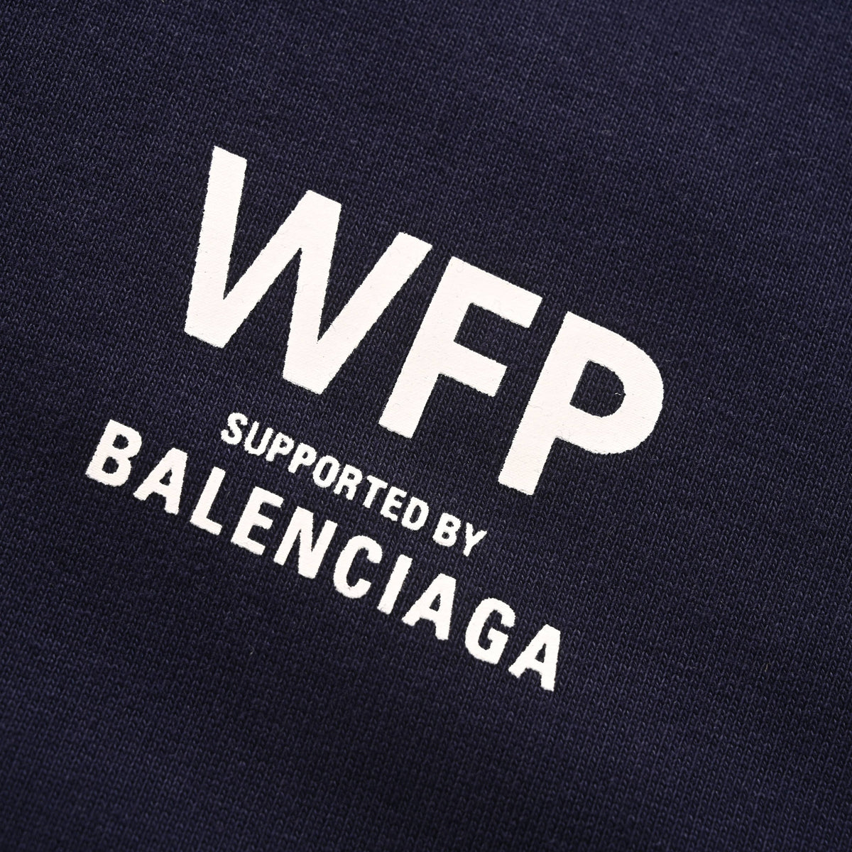 Balenciaga BLCG WFP Graphic Zip-Up Cotton Hoodie