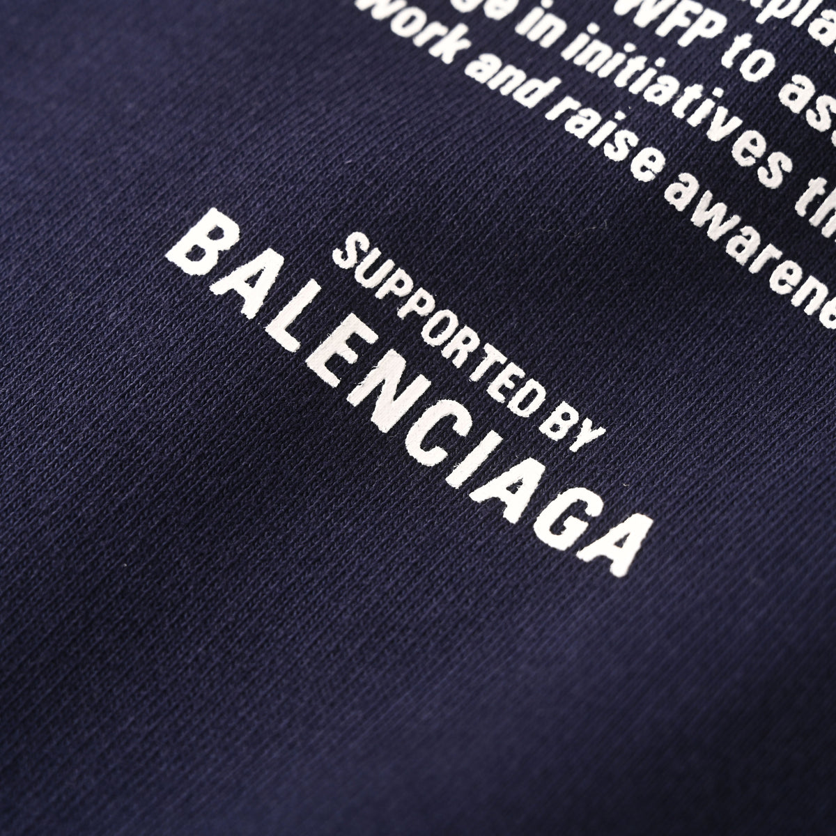 Balenciaga BLCG WFP Graphic Zip-Up Cotton Hoodie