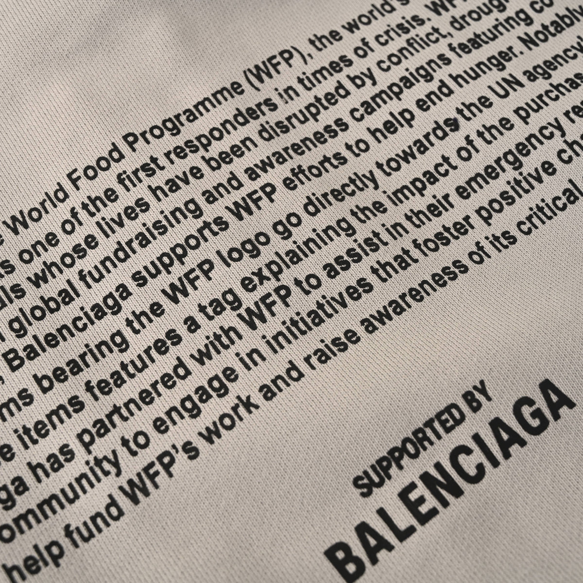 Balenciaga BLCG WFP Washed Cotton Terry Zip-Up Hoodie